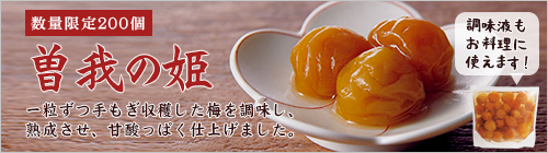 曽我の姫