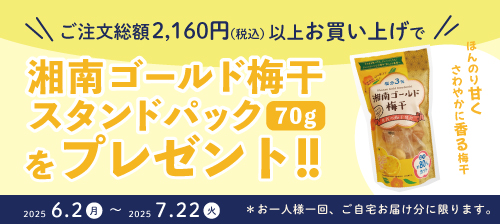 キャンペーン