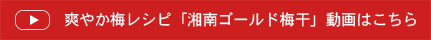 湘南ゴールド梅干動画はこちら