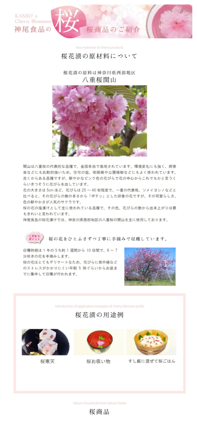 桜紹介