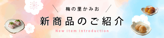 新商品タイトル